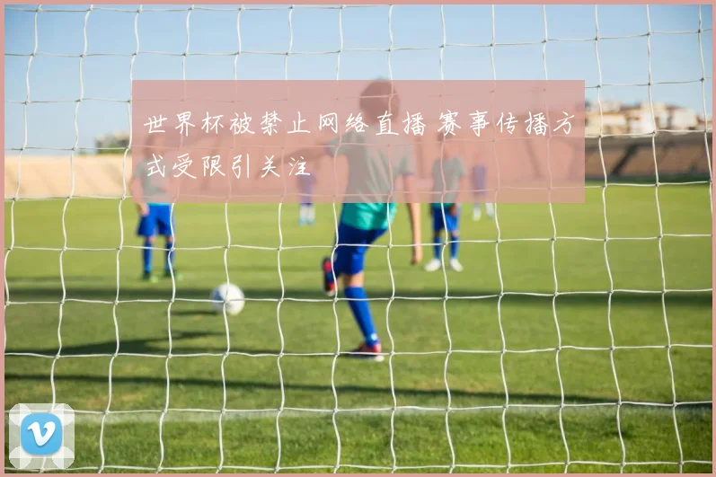 世界杯被禁止网络直播 赛事传播方式受限引关注