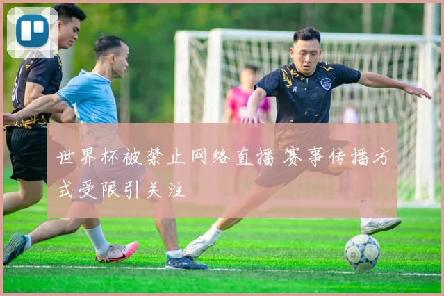 世界杯被禁止网络直播 赛事传播方式受限引关注