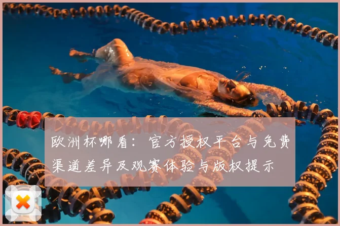 欧洲杯哪看：官方授权平台与免费渠道差异及观赛体验与版权提示