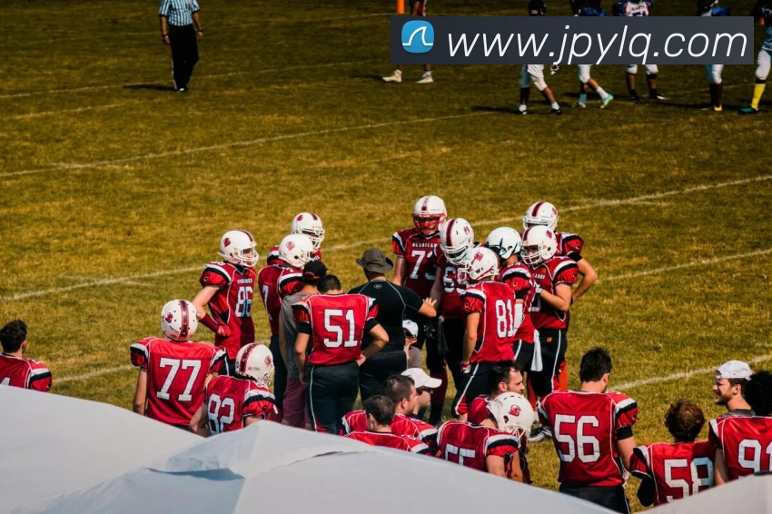 世界杯在线观看官网APP 封面图